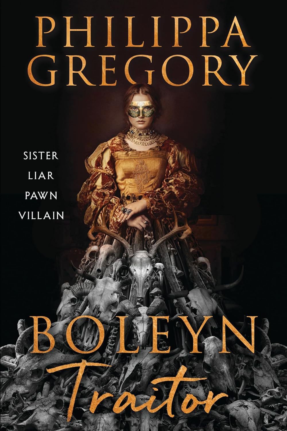 Boleyn traitor book image