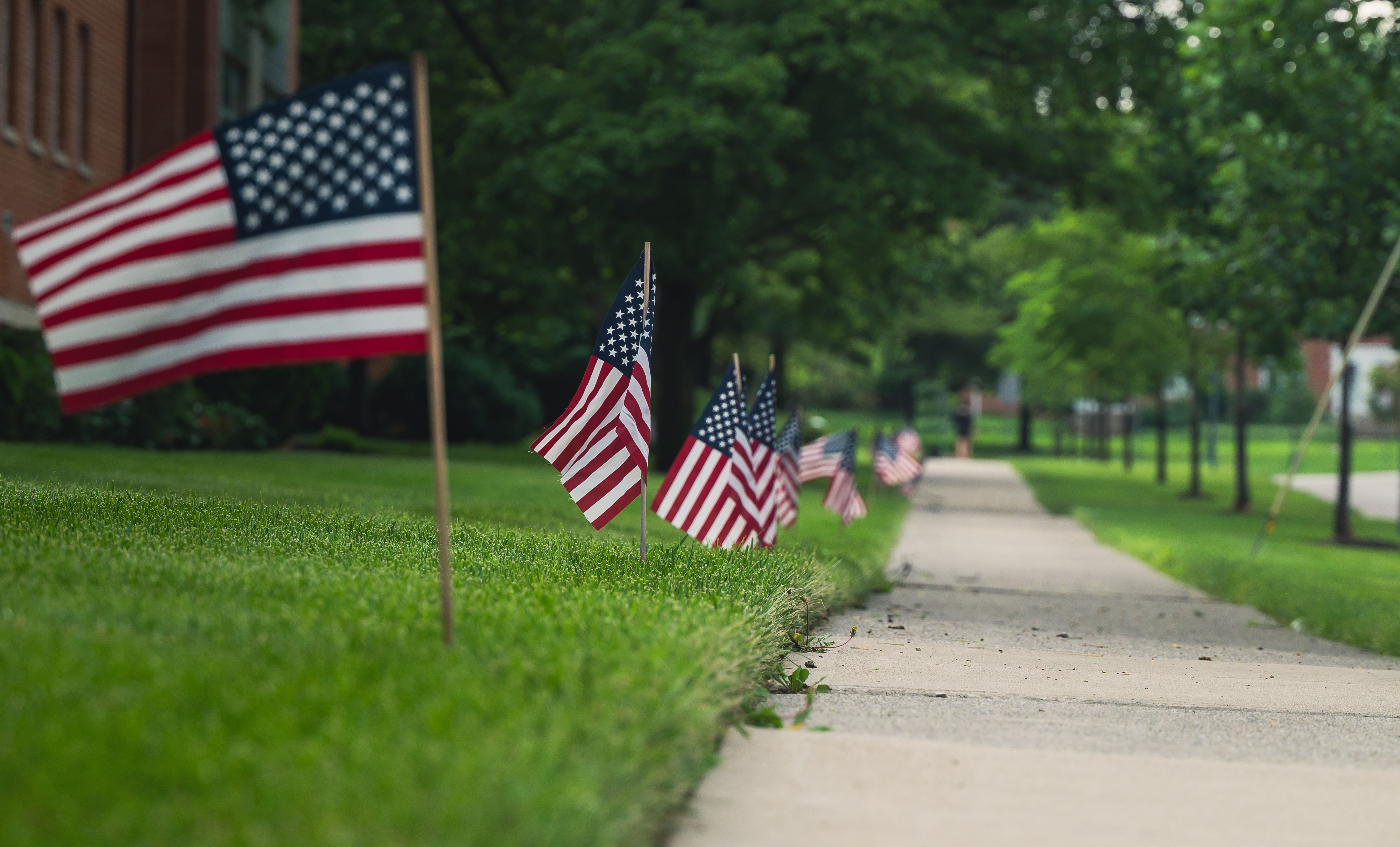 Image of US flags
