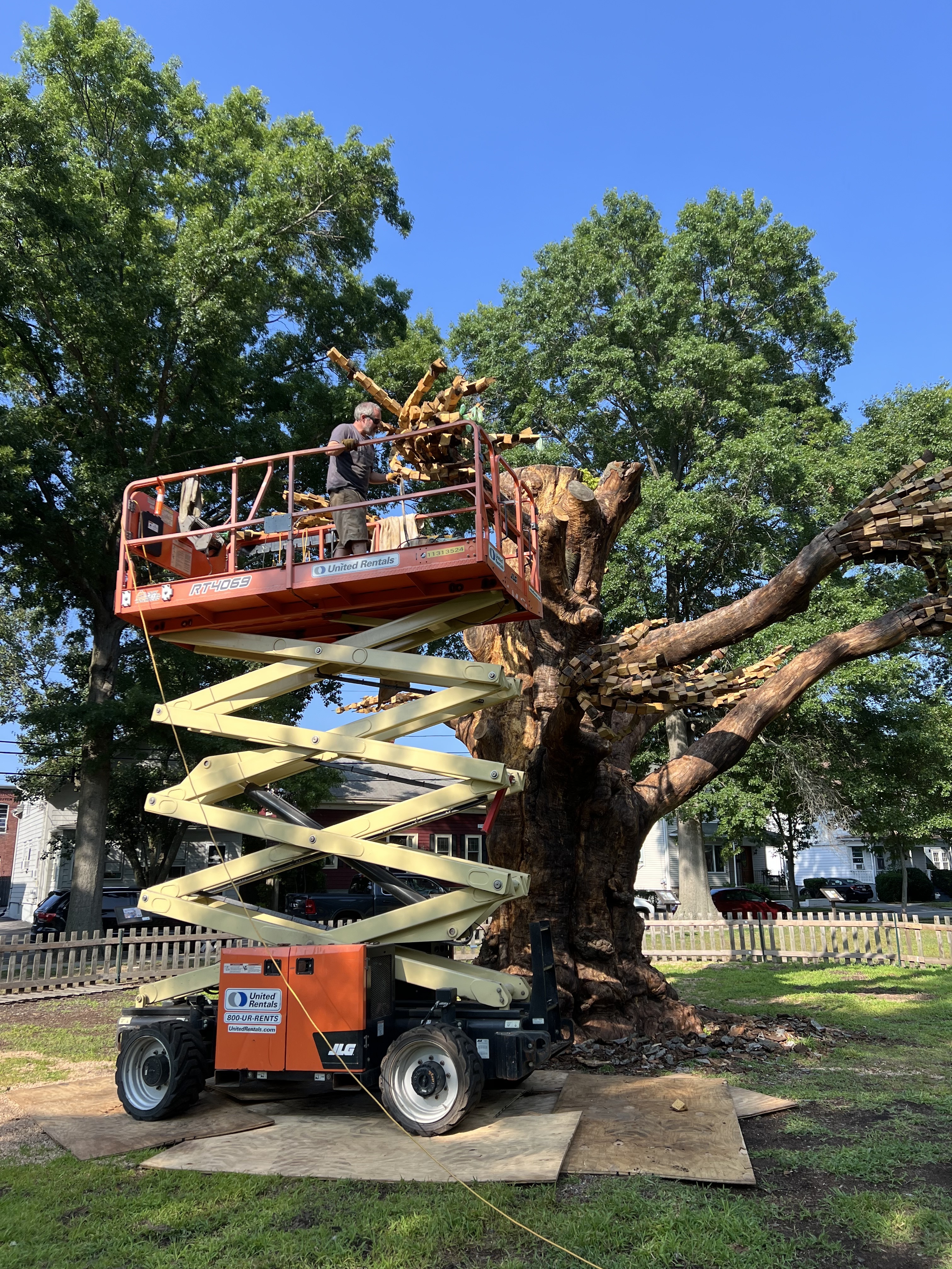 sculptor working on tree from scissor lift