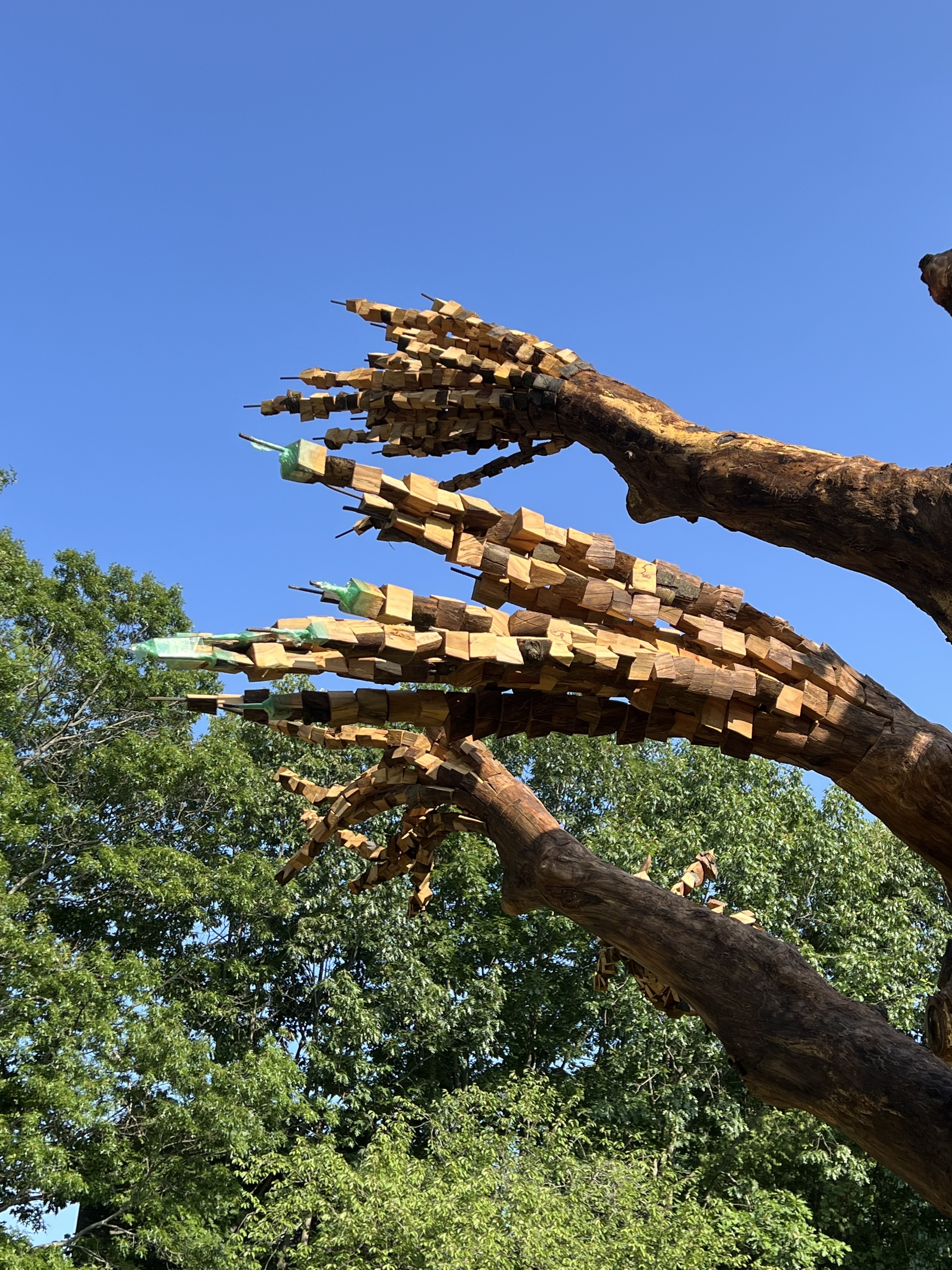 upclose image of rebars with wooden cubes attached