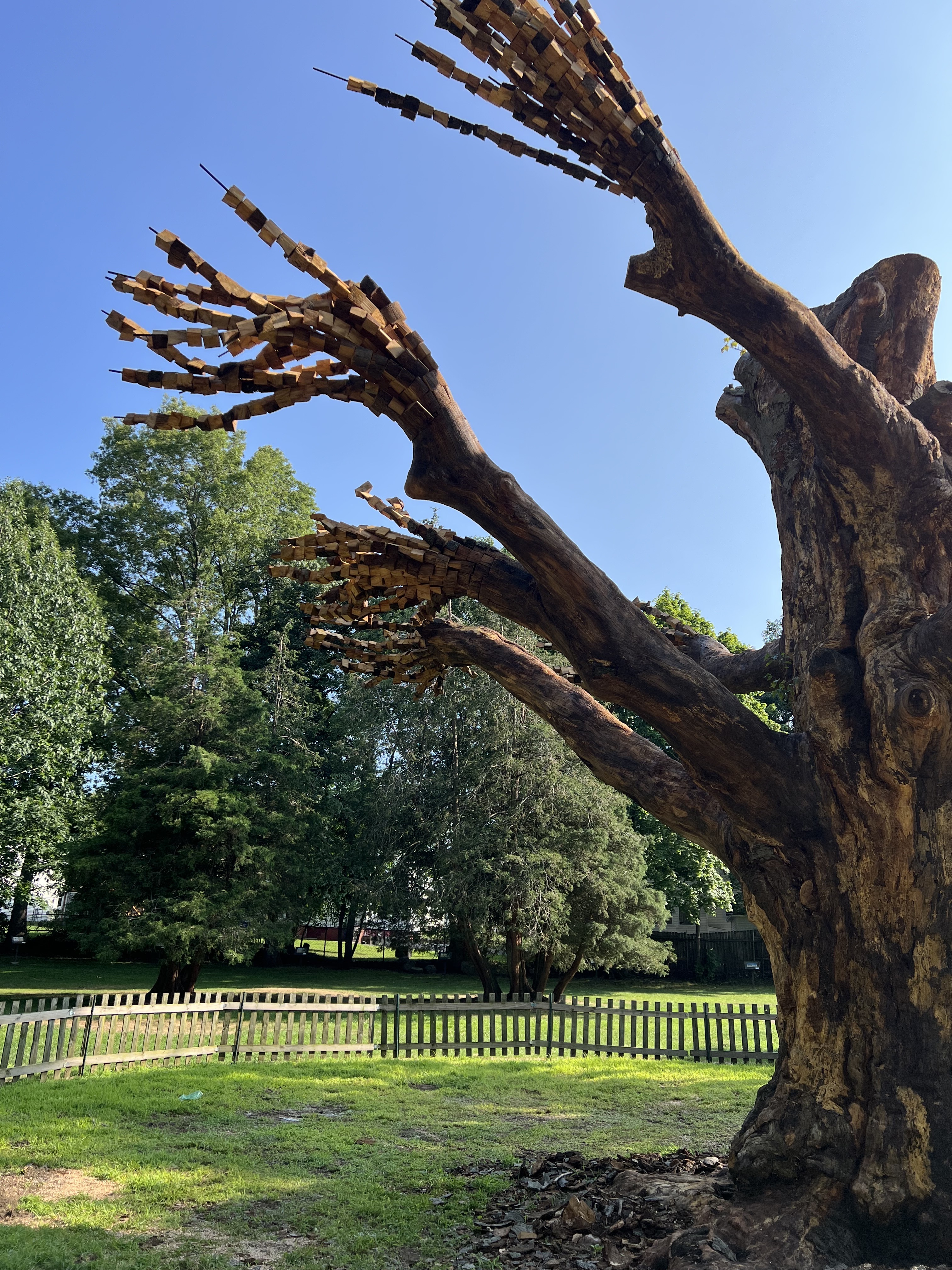 photo of one side of tree with rebar and wooden cubes