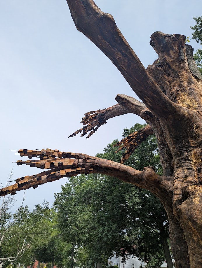 rebars attached to the tree