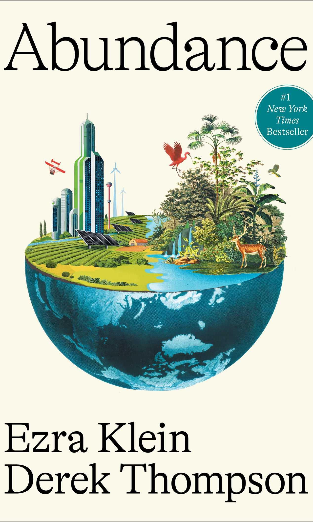 Abundance book cover
