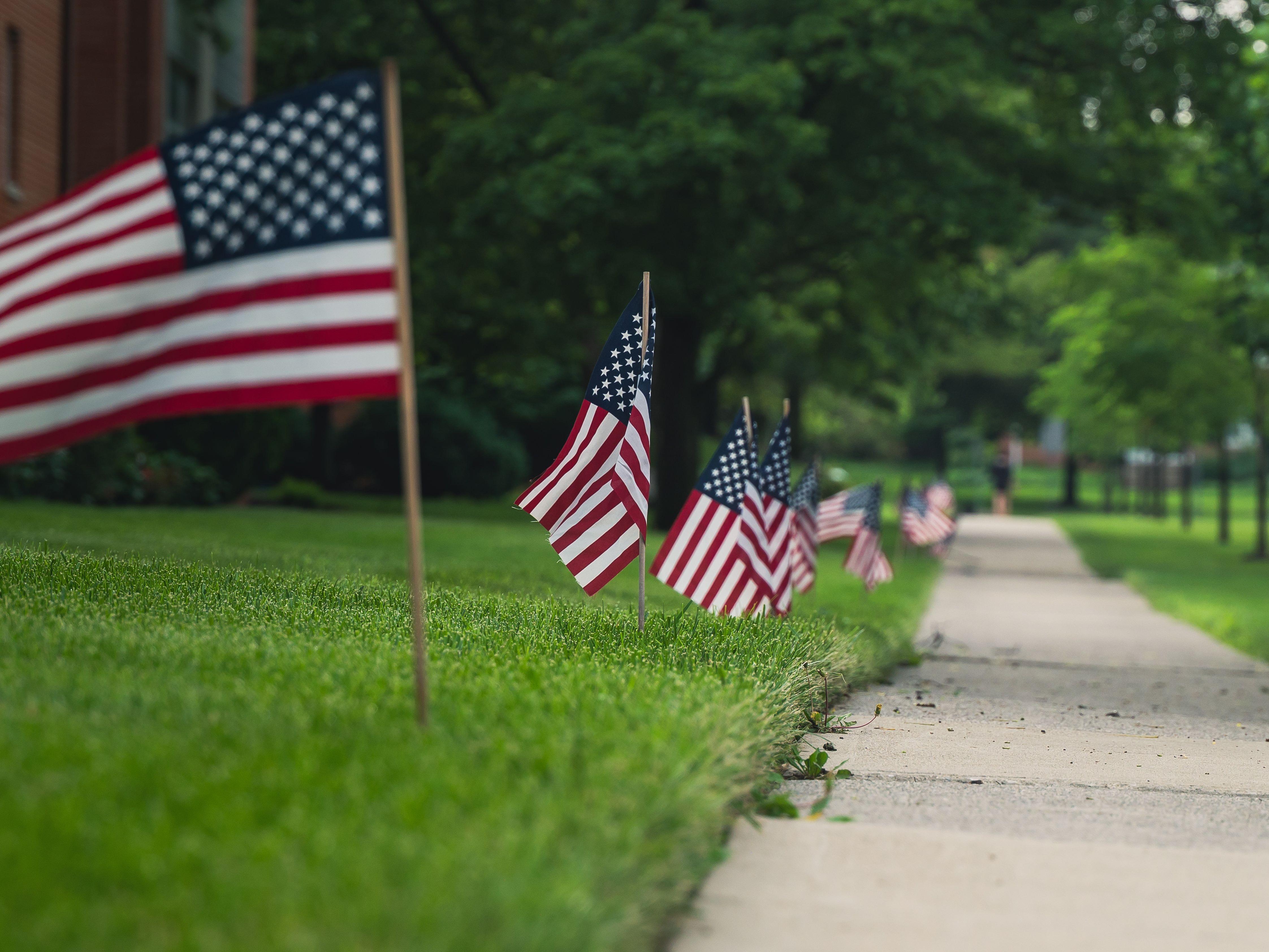 Image of US flags