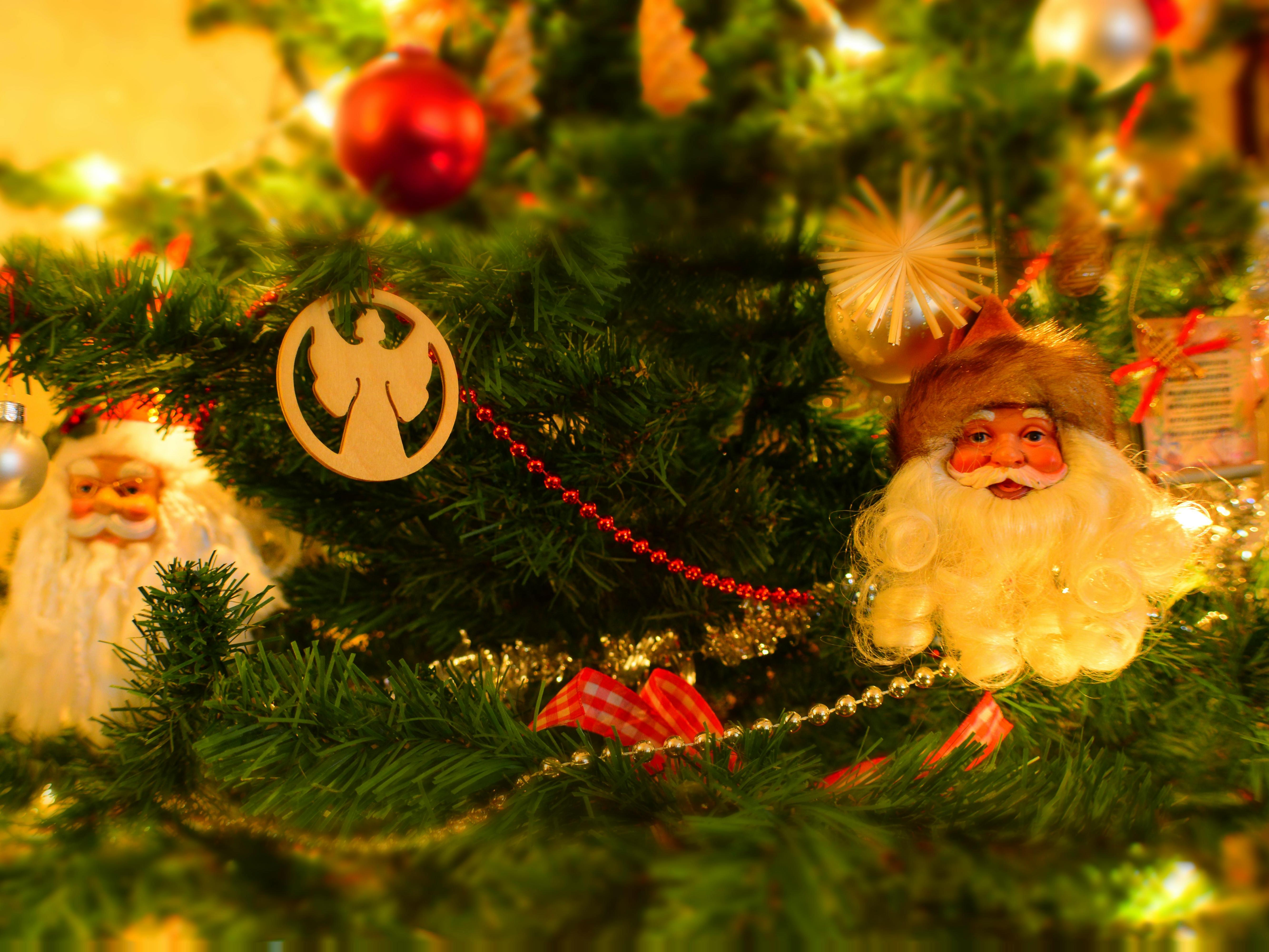 Photo of a holiday scene