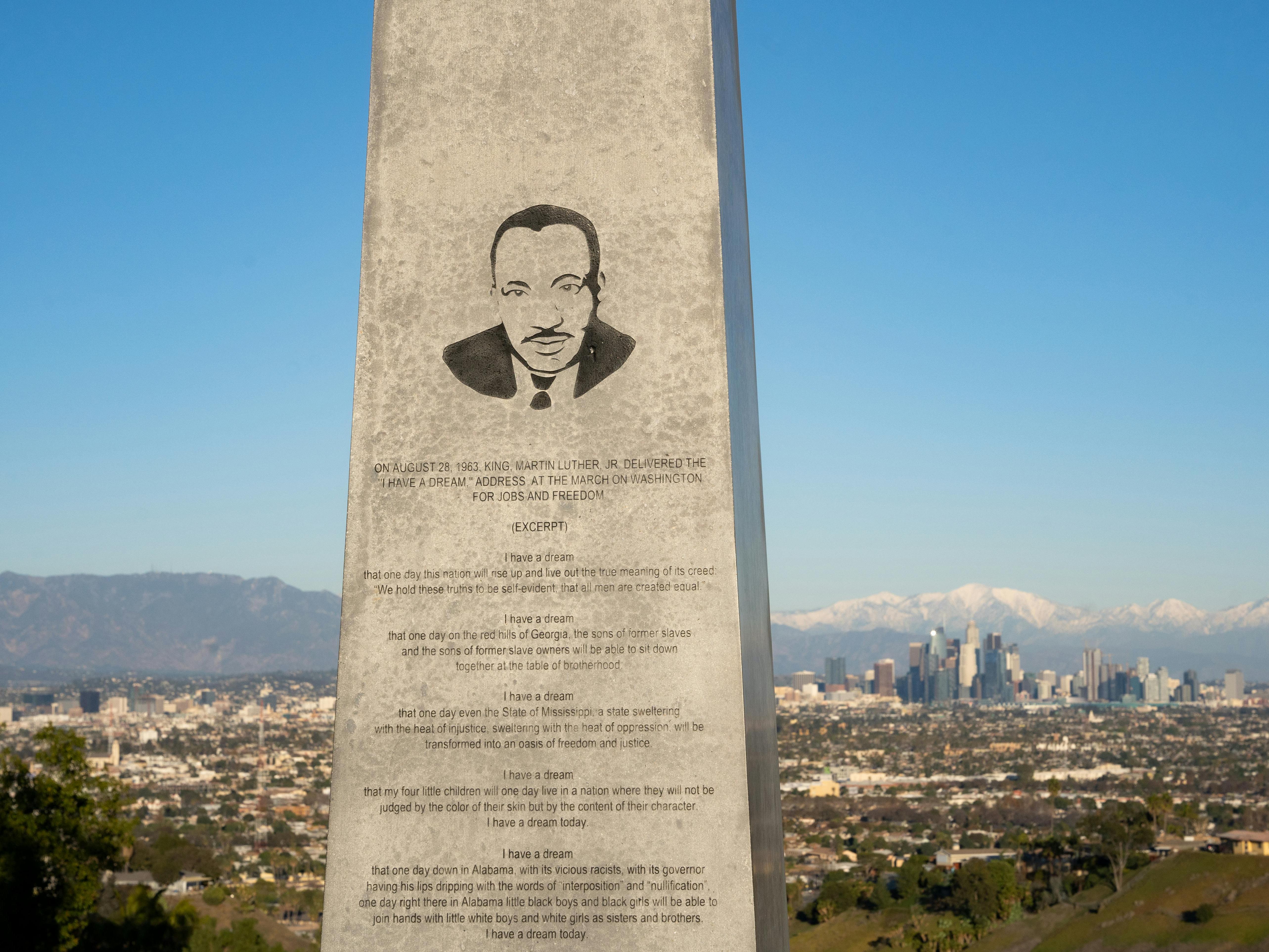 Image of MLK icon