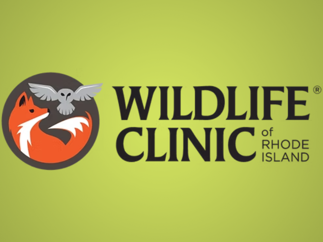 Wildlife Clinic logo image